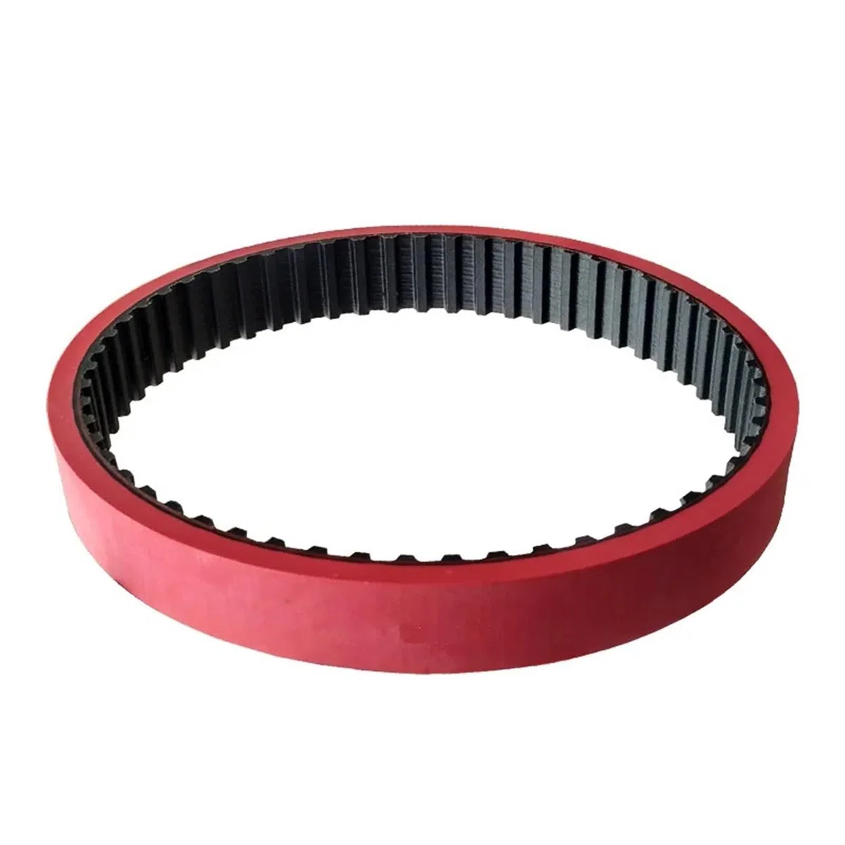 Kit de remplacement de courroie 25T10 560 mm 610 pour machine à emballer verticale de remplissage de poche VFFS (720 mm, 1 pièce_28 mm)
